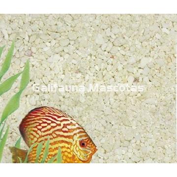 Arena de coral para acuarios. Grava de coral natural. - Imagen 1