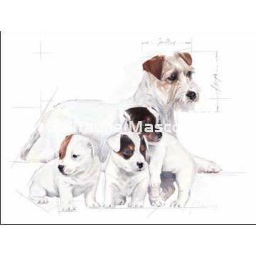 Babydog milk 2 kg Royal Canin. Leche para cachorros - Imagen 2