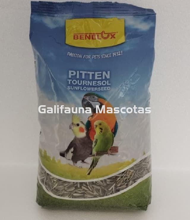 Bebelux pipas de girasol - Imagen 1