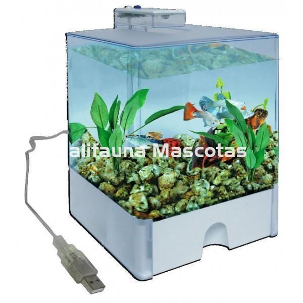 Betera / pecera Aqua Box AA1515. Con lux de 2 LED.  3 litros. USB - Imagen 1