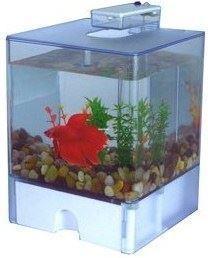 Betera / pecera Aqua Box AA1515. Con lux de 2 LED.  3 litros. USB - Imagen 3