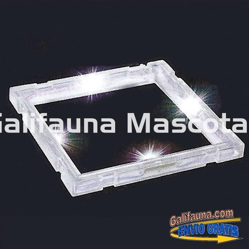 Betera / pecera de cristal Betta Space LED de 4.95 litros. Con lámpara LED Dual-View - Imagen 2