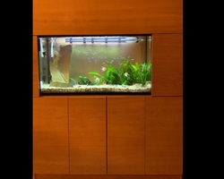 El perfecto acuario empotrado en un mueble.