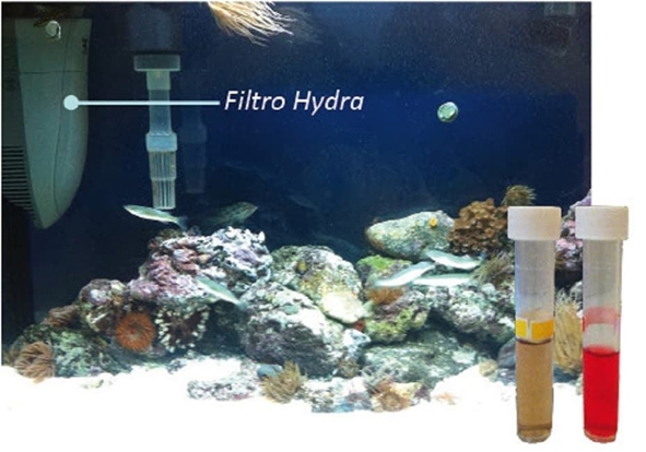 FILTROS HYDRA. Mantener un acuario ¡Nunca Fue tán Fácil! - Imagen 1