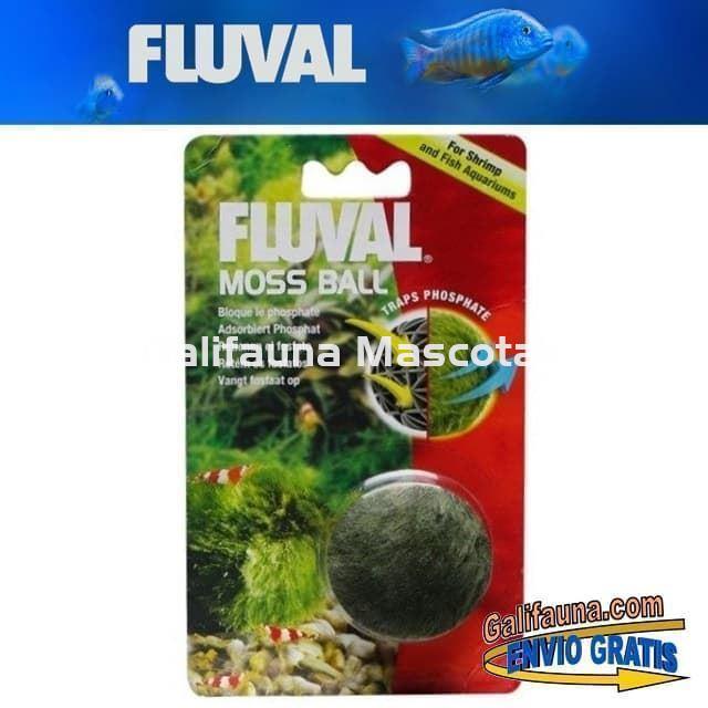 BOLA DE MUSGO retenedora de Fosfatos y Nitritos. Fluval Moss Ball. - Imagen 1