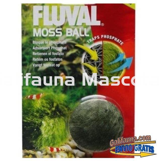 BOLA DE MUSGO retenedora de Fosfatos y Nitritos. Fluval Moss Ball. - Imagen 2