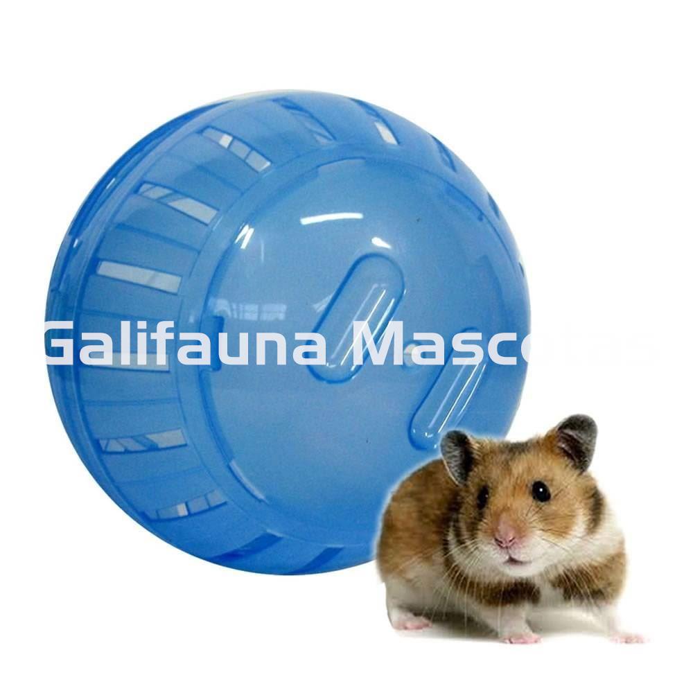 Bola Grande de ejercicio para hamsters, jerbos y otros pequeños roedores. - Imagen 1