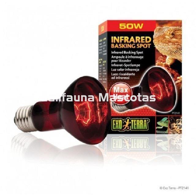 Bombilla infraroja para terrarios INFRARED BASKING SPOT de EXO TERRA. - Imagen 1