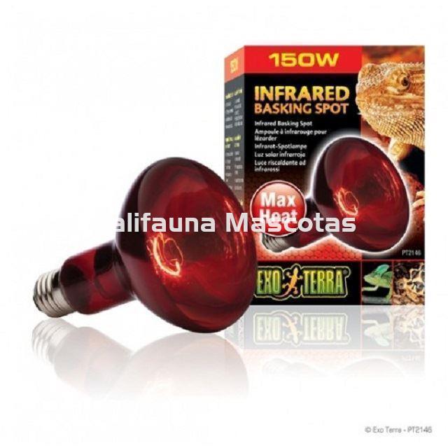 Bombilla infraroja para terrarios INFRARED BASKING SPOT de EXO TERRA. - Imagen 4