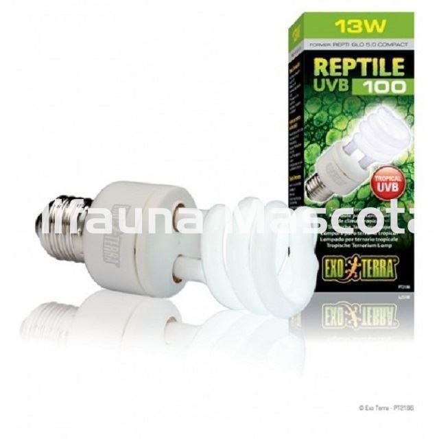 5.0 ReptilHábitat Bombilla UVB UVA reptiles 5.0 10.0 26w lámpara UVB para tortugas pogonas 