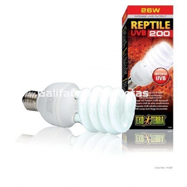Bombilla UVB intense para terrarios UVB 200 intensidad máxima  de EXO TERRA. Lámpara bajo consumo. - Imagen 2