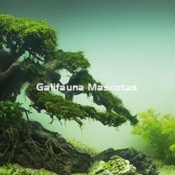 Bonsái decoracion acuarios mediano. Especial Aquascaping - Imagen 2