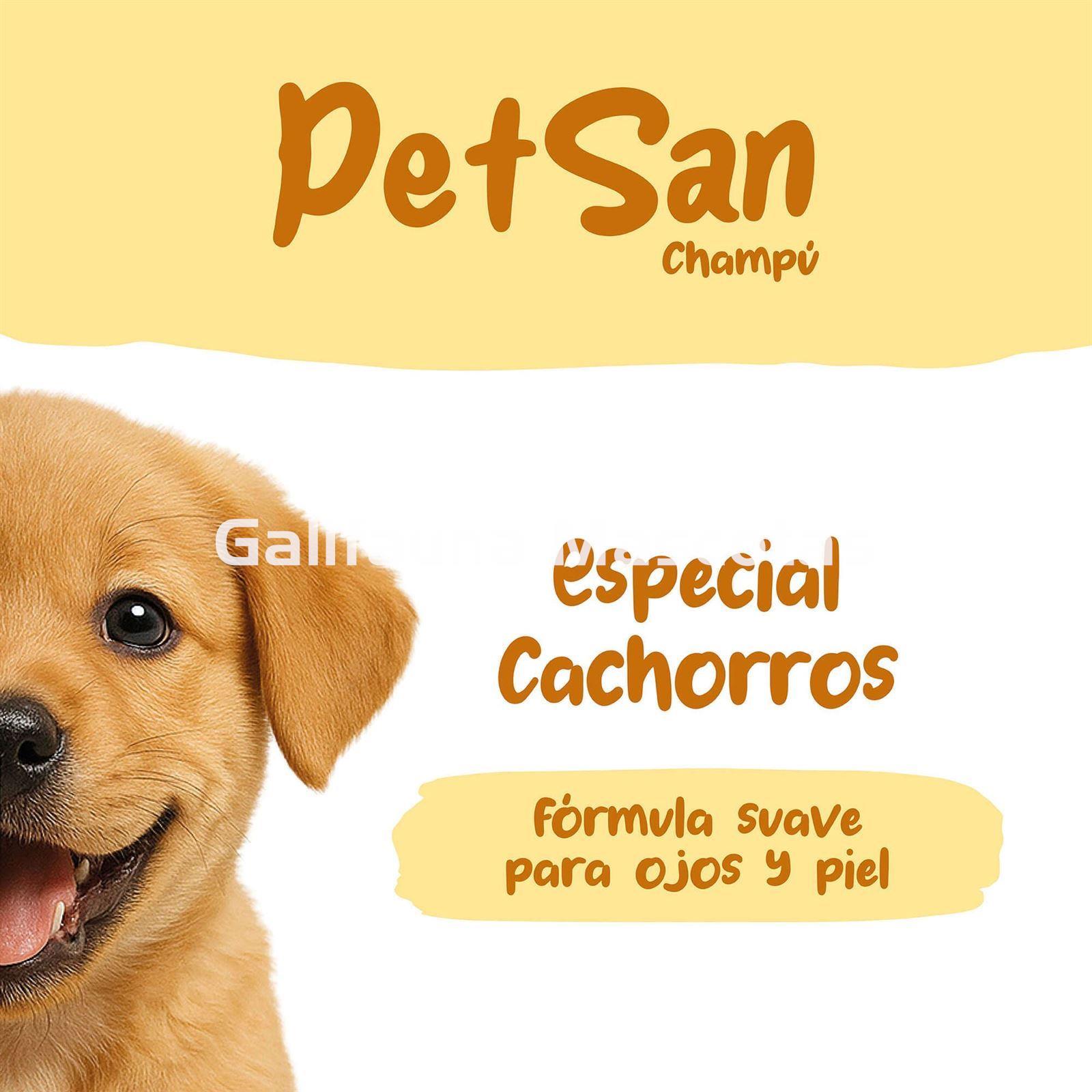 Champú para cachorros con Aloe Vera PetSan - Imagen 5
