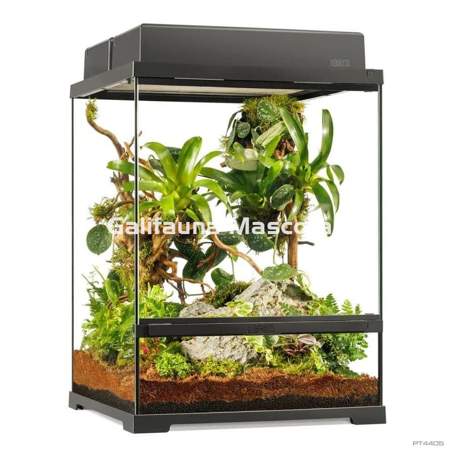 COMBO Pro Terrarium + Mesa + Sistema de iluminación. 60x45 cm en varias alturas. - Imagen 9