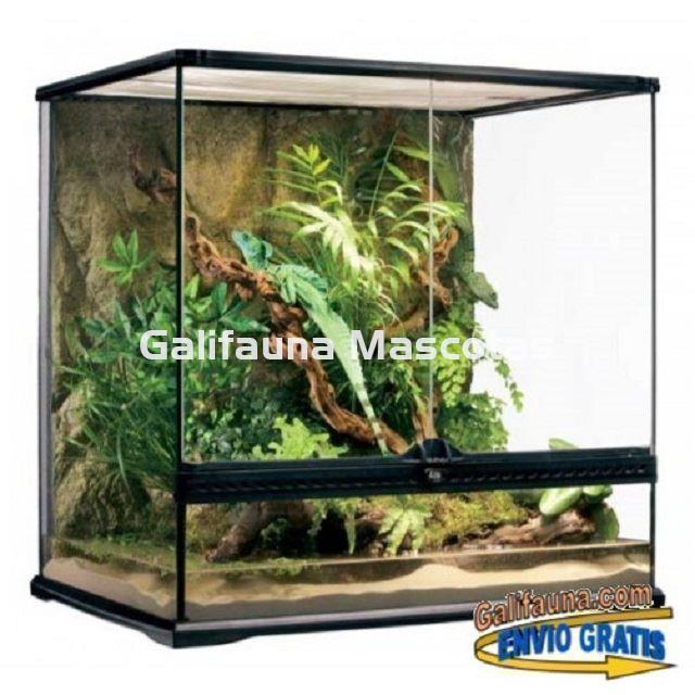 COMBO Terrario + Mesa + Sistema de iluminación.  60x45 cm en varias alturas. - Imagen 5