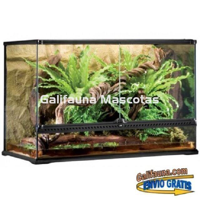 COMBO Terrario + Mesa + Sistema de iluminación. 90x45 cm en varias alturas. - Imagen 5