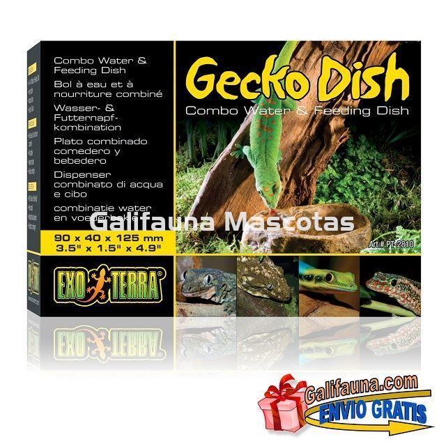 Comedero y bebedero para GECKO. - Imagen 4