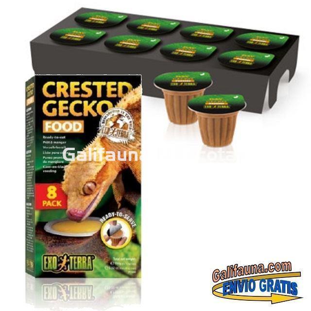 Comida para GECKO CRESTADO. Delicioso Alimento en puré para Geckos. - Imagen 2