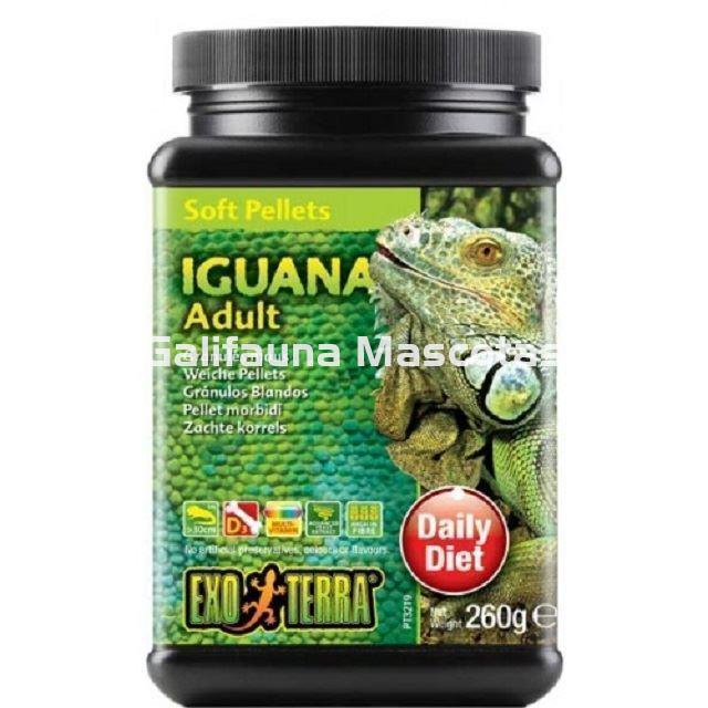 Comida para IGUANA. Delicioso Alimento para Reptiles. - Imagen 3