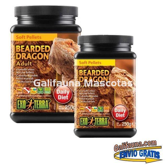 Comida para POGONA. Delicioso Alimento para Reptiles. - Imagen 2