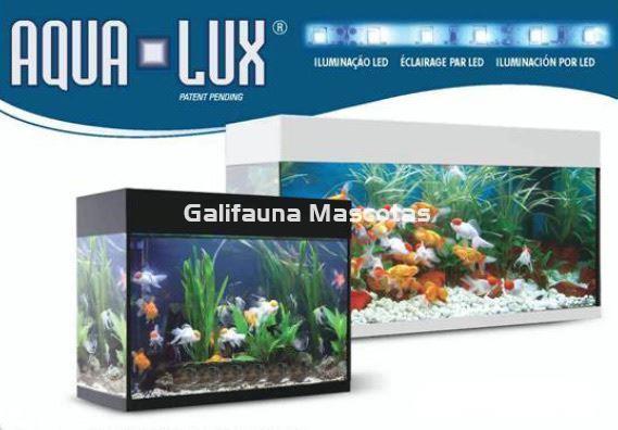 CONJUNTO Kit Acuario Aqua-Lux 100 litros + MESA M100120 - Imagen 2