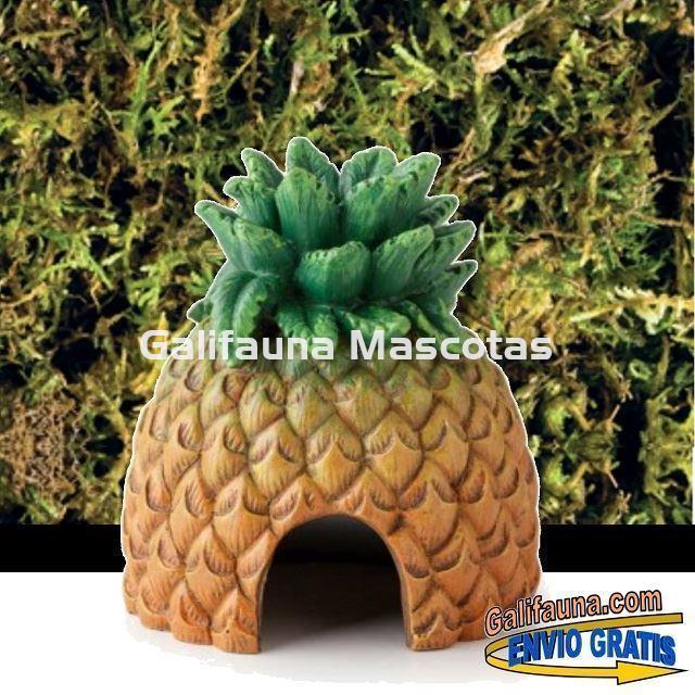 CUEVA y ESTACION DE COMIDA modelo PIÑA para terrarios. Decoración útil. - Imagen 1