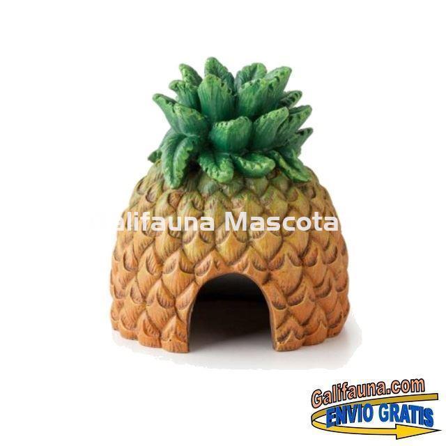 CUEVA y ESTACION DE COMIDA modelo PIÑA para terrarios. Decoración útil. - Imagen 2