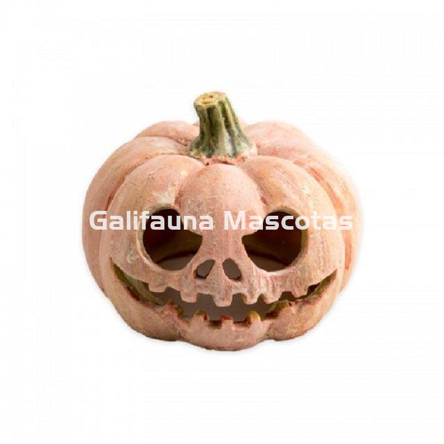 Decoración Adorno CALABAZA FLUORESCENTE para terrarios. - Imagen 1