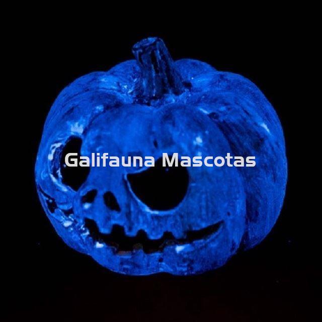 Decoración Adorno CALABAZA FLUORESCENTE para terrarios. - Imagen 2