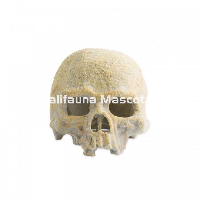 Decoración Adorno CALAVERA FLUORESCENTE para terrarios. - Imagen 1