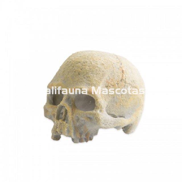 Decoración Adorno CALAVERA FLUORESCENTE para terrarios. - Imagen 3