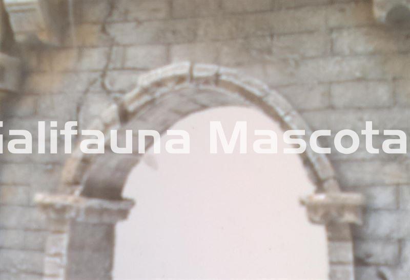 Decoración Arco de triunfo romano. 16x5x12,8 cm - Imagen 3
