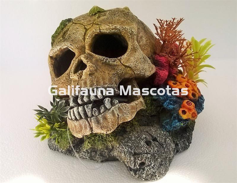 Decoración Calavera con lapas, plantas y coral - Imagen 1