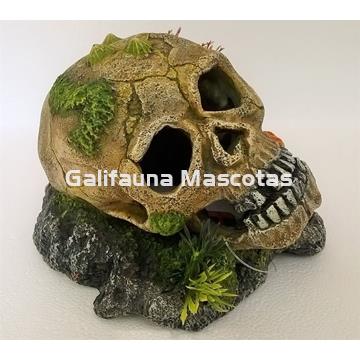 Decoración Calavera con lapas, plantas y coral - Imagen 2