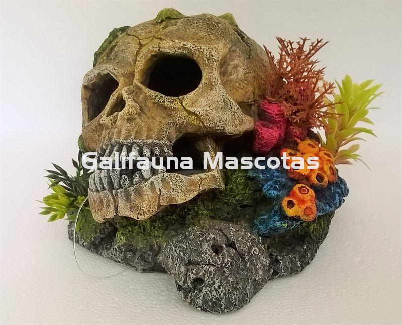 Decoración Calavera con lapas, plantas y coral - Imagen 3