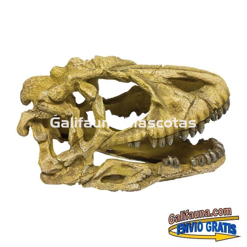 Decoracion cráneo de dinosaurio de 24 cm de largo. Ornamento para acuarios. - Imagen 1