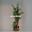 Decoración para acuarios BAMBU ALTO CON PLANTAS. - Imagen 1