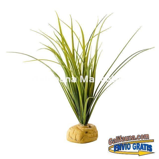 Decoración Planta modelo GRASS para terrarios. - Imagen 2