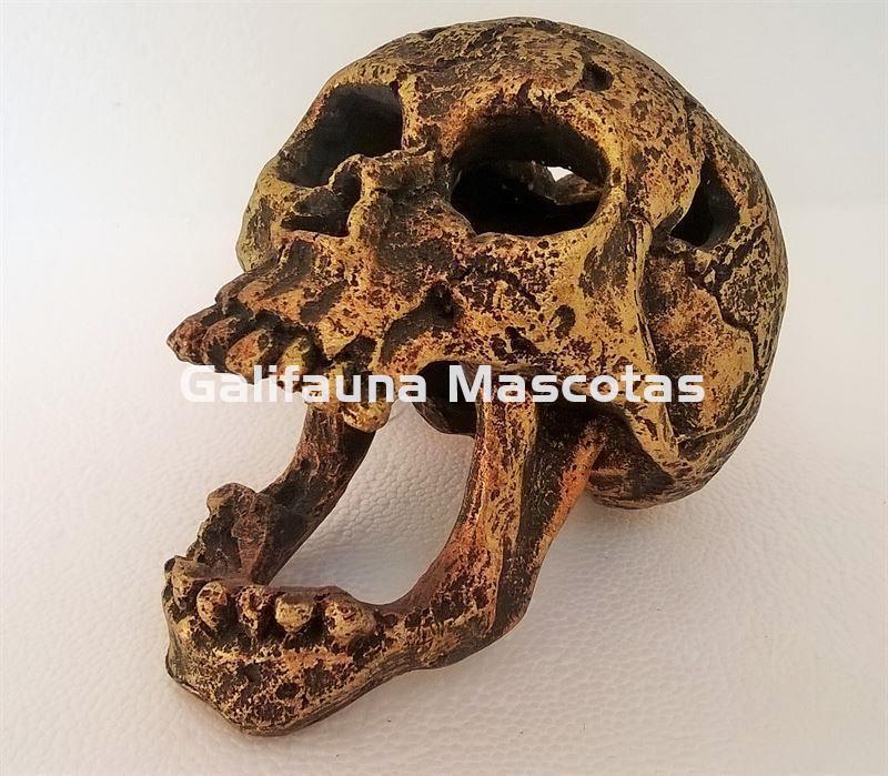 Decoración Calavera Dorada pequeña. - Imagen 1