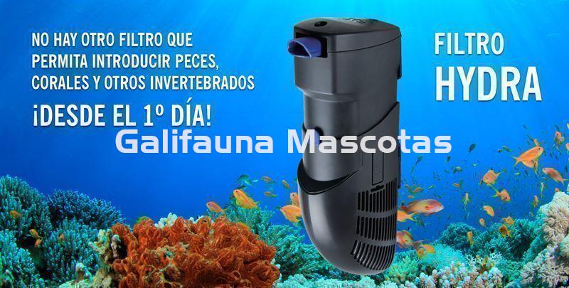 Filtro HYDRA. Mantener un acuario, nunca fue tan fácil.