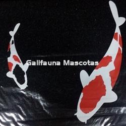 Foamex. Esponja GRANDE para filtros. - Imagen 1