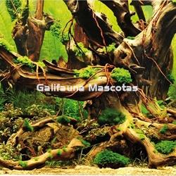 Fondo decorativo de acuario Manglar / Laguna blanca. - Imagen 1