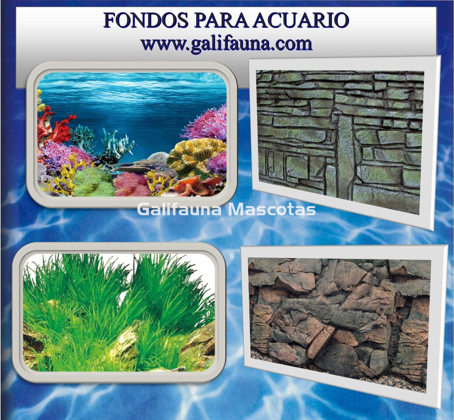 Fondos decorativos para acuarios. - Imagen 1