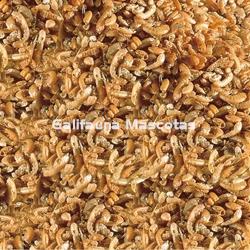 Gammarus SERA Raffy I 3800 ml. Alimentacion Tortugas. Gambitas. - Imagen 2