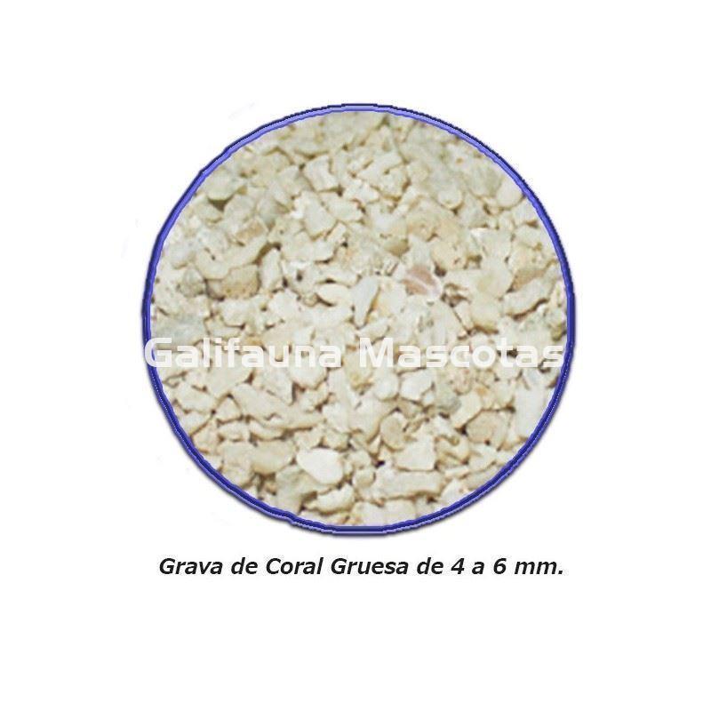 Grava de coral para acuarios. Grava de coral natural. - Imagen 3