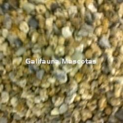 Grava volcánica. Tamaño standar para acuario 1 kg. - Imagen 2