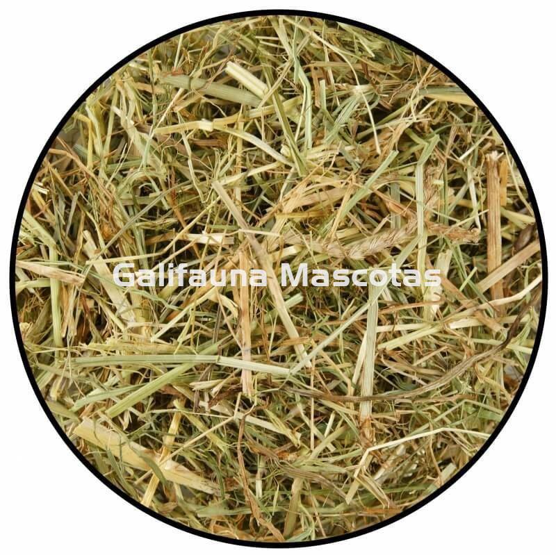 Heno de montaña con camomila y diente de león - Imagen 2