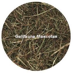 Heno para roedores de primera calidad. 500 gr. - Imagen 2