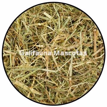 Heno para roedores de primera calidad. - Imagen 2