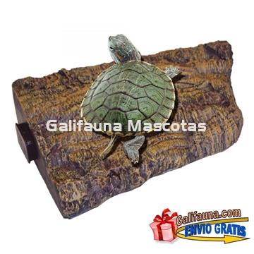 Isla para Tortuguera en esquina con imán. - Imagen 1